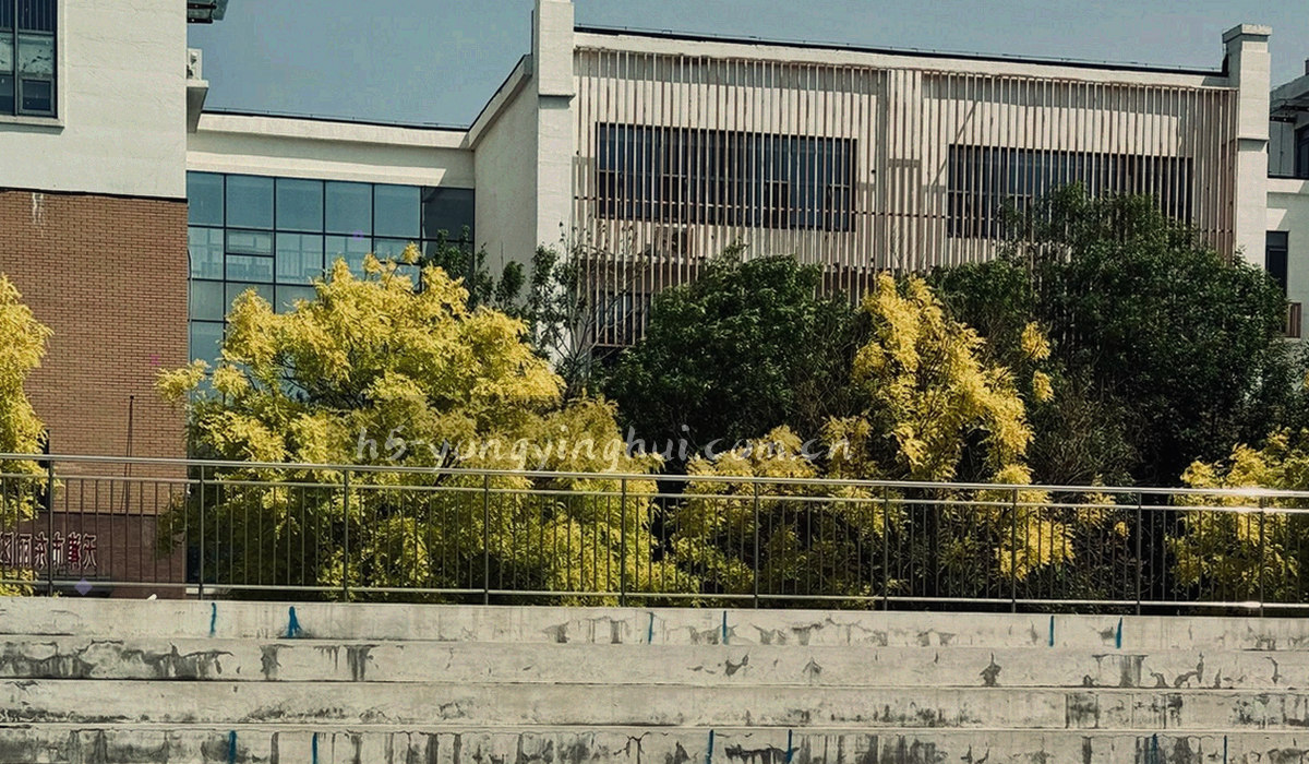 纵向步骤流程图，节点为等宽编号方块，青绿与暖金色块表示排查顺序逐层收敛